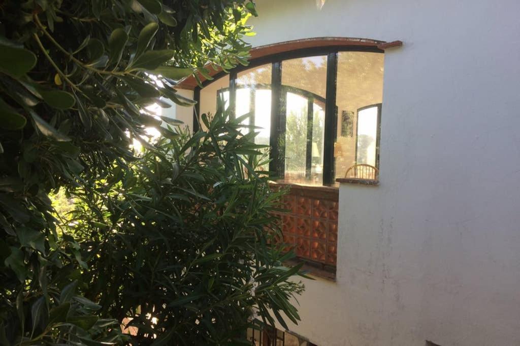 Jolie Villa vue mer - 100km au Nord de Barcelone - Pals Eksteriør bilde